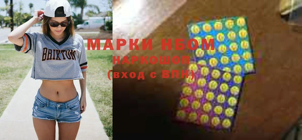твердый Краснослободск