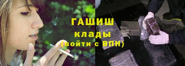 твердый Краснослободск