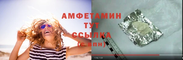 твердый Краснослободск