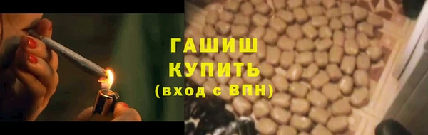 твердый Краснослободск