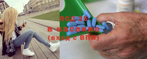 твердый Краснослободск